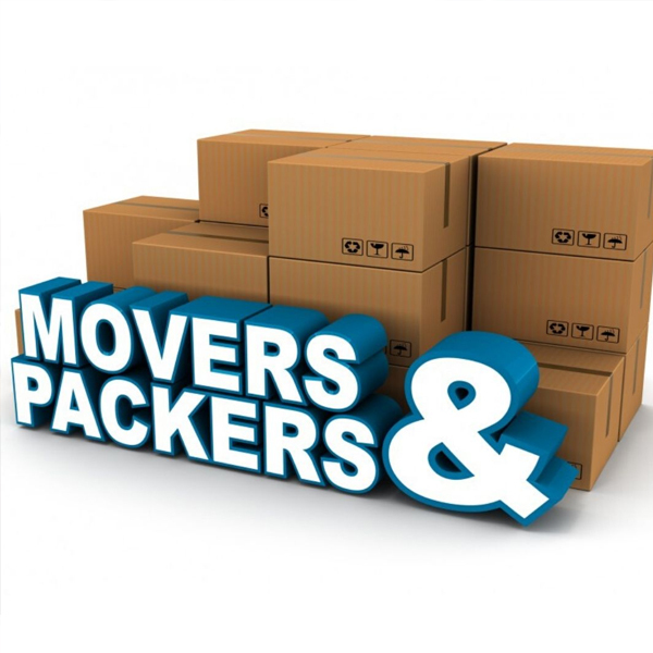 Why Choose DC Movers and Packers for Storage